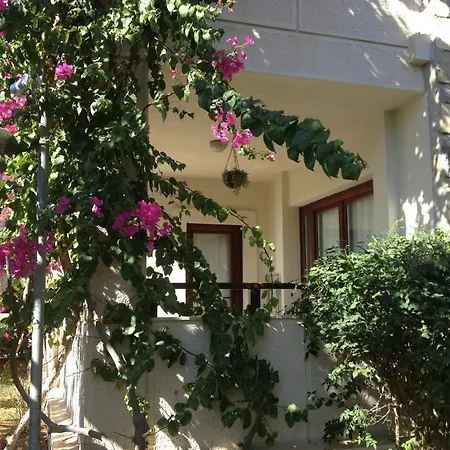 Villanaz ביטז