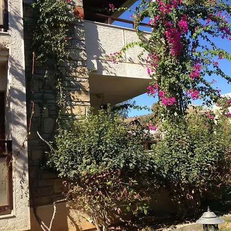 Apartment Villanaz