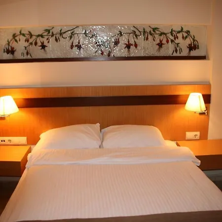 Villanaz Apartment *